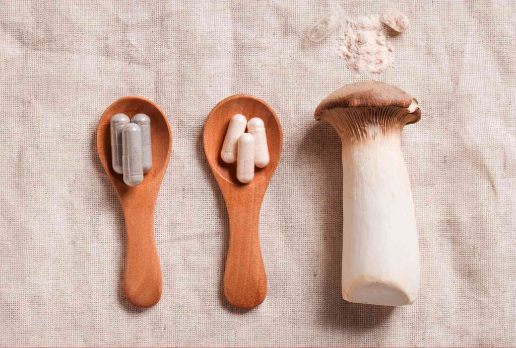 Mushroom